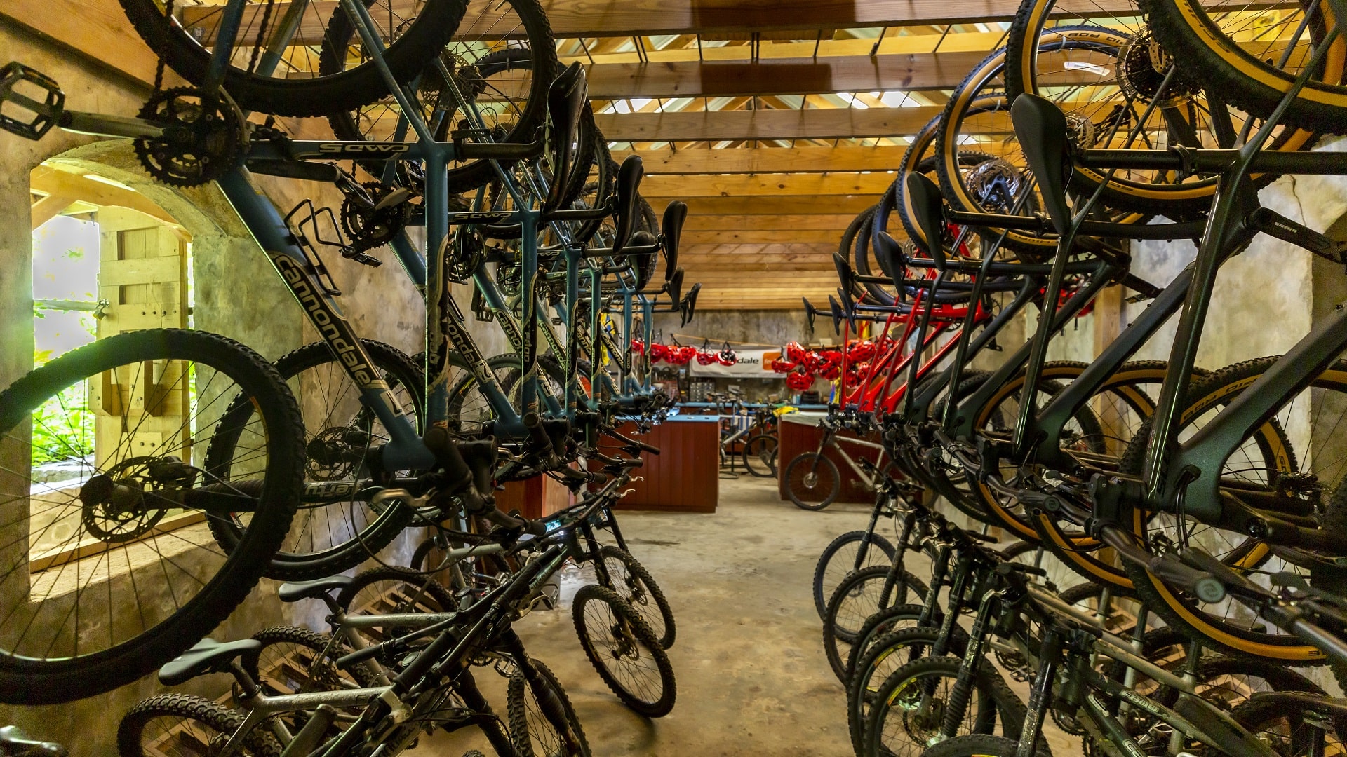 Jungle Biking at Bike St Lucia